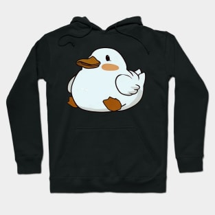 Ducks doing cute things Hoodie